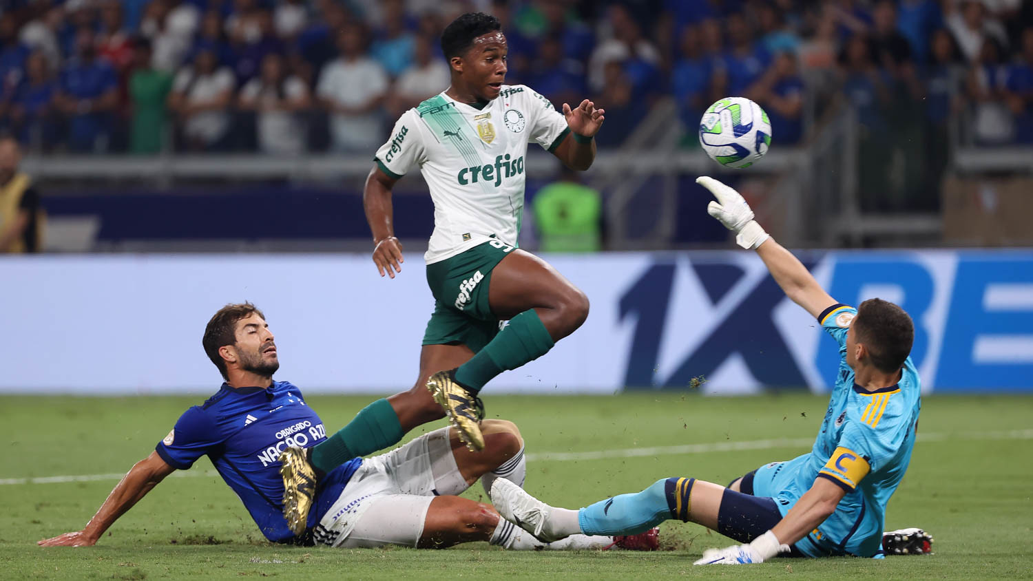 Palmeiras fatura o bi no Brasileirão e soma 12º título nacional com empate  diante do Cruzeiro - ISTOÉ Independente